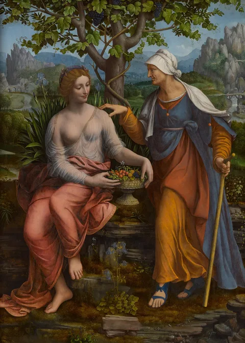 Francesco Melzi, Vertumnus and Pomona