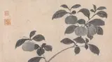 Shen Zhou, Branch of Fruit Bearing Tree