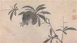 Shen Zhou, Fruit