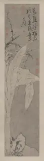 Xu Wei, Untitled