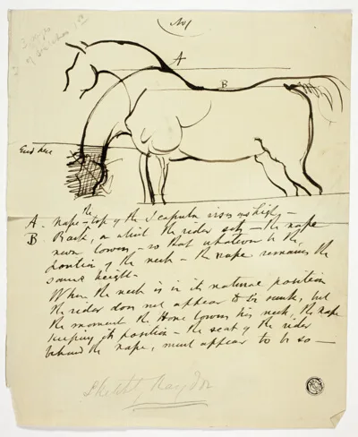 Benjamin Haydon, Sketch of Horse with Notations