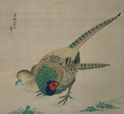 Maruyama Ōkyo, Hanging Scroll (pair of pheasants)
