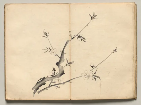 Maruyama Ōkyo, Cherry from Ōkyo Picture Book