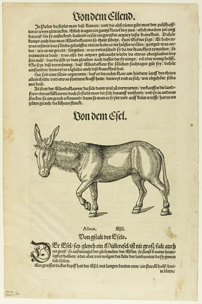 Hans Asper, Illustration from "Thierbuch", plate 42 from Woodcuts from Books of the XVI Century