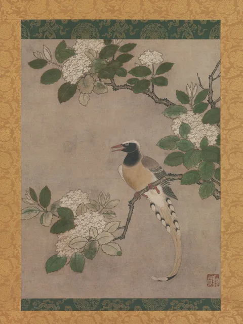 Girolamo Genga, Magpie on Viburnum Branch