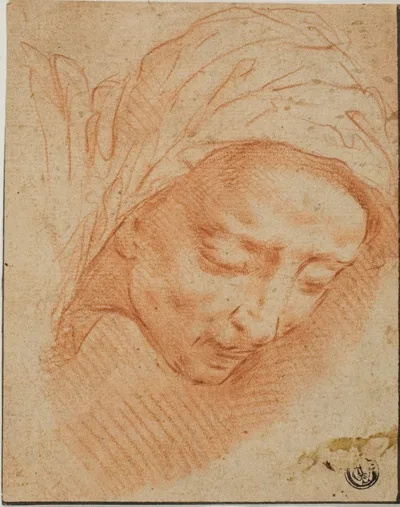 Bernardino Poccetti, Woman's Head