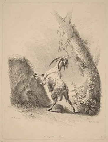 Adam Bartsch, Goat in a Landscape