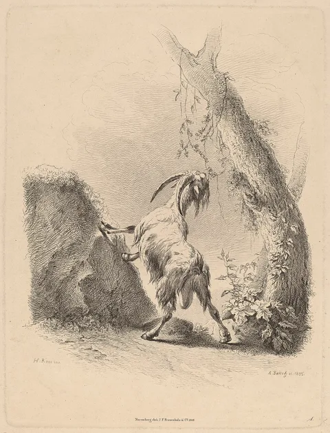 Adam Bartsch, Goat in a Landscape
