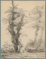 Pierre-Henri de Valenciennes, A Stand of Trees