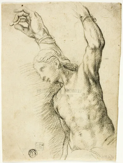Vincenzo Campi, Saint Sebastian