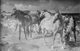 Otto Bache, Heste ved stranden