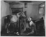Benno Adam, Untitled