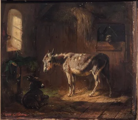 Benno Adam, Donkeys in Stable