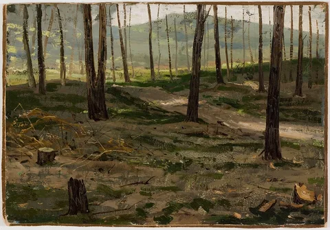 Victor Westerholm, Landscape from Rath
