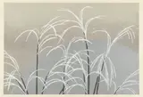Kamisaka Sekka, Four Prints from the Series ‘Flowers of a Hundred Worlds’