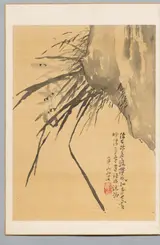 Watanabe Kazan, Orchid