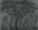 Joris van der Haagen, Woods at Night with Travelers