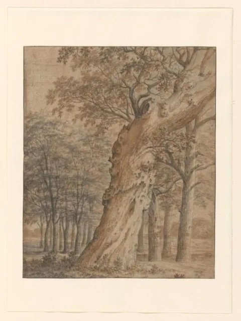 Joris van der Haagen, Oude eik in een bos