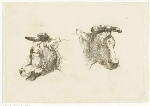 Gerard Bilders, Twee hoofden van koeien