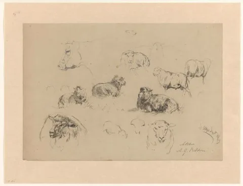 Gerard Bilders, Schetsblad met studies van schapen en een koeienkop