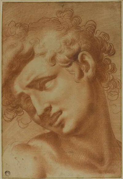 Cristoforo Roncalli, Head of a Youth