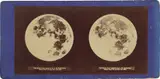Lewis Morris Rutherfurd, "Full Moon"