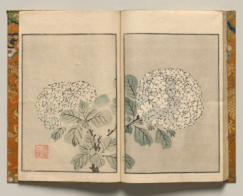 Tani Bunchō, Hydrangea, Design Seventeen from Shazanrō Picture Book