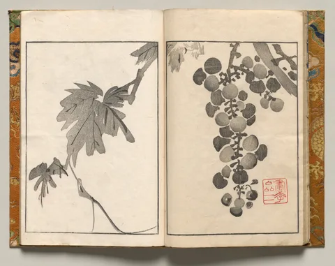 Tani Bunchō, Grapevine, Design Ten from Shazanrō Picture Book