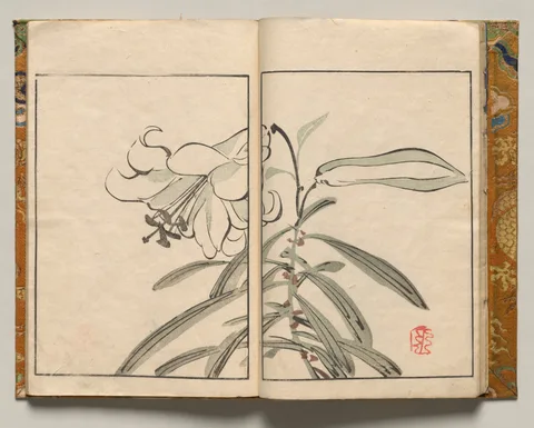 Tani Bunchō, Lily, Design Seven from Shazanrō Picture Book