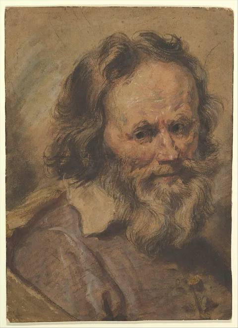 Giovanni Serodine, Head of a Bearded Man