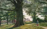 George Price Boyce, A Girl by a Beech Tree in a Landscape