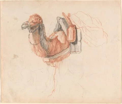 Johann Rudolph Schellenberg, Camel