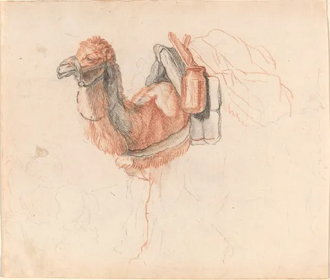 Johann Rudolph Schellenberg, Camel