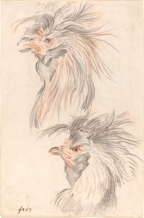Johann Rudolph Schellenberg, Fighting Cock