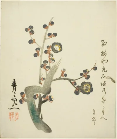 Suzuki Kiitsu, Blossoming red plum branch