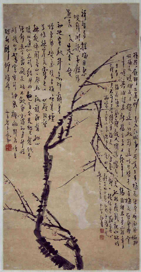Gao Xiang, Untitled