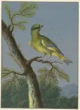 Barbara Regina Dietzsch, Groenling