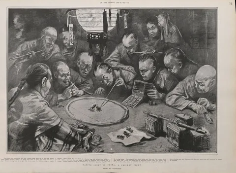 André Castaigne, Native sport in China: a cricket fight. Drawn by A. Castaigne