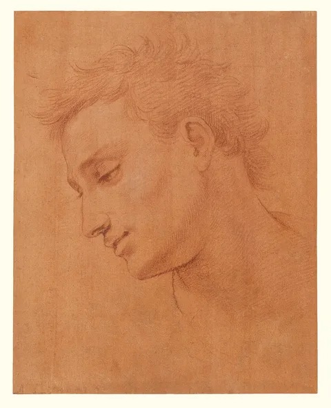 Girolamo Macchietti, Head of Man in Profile to the Left