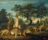 John William Lewin, Kangaroos