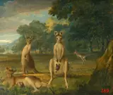 John William Lewin, Kangaroos