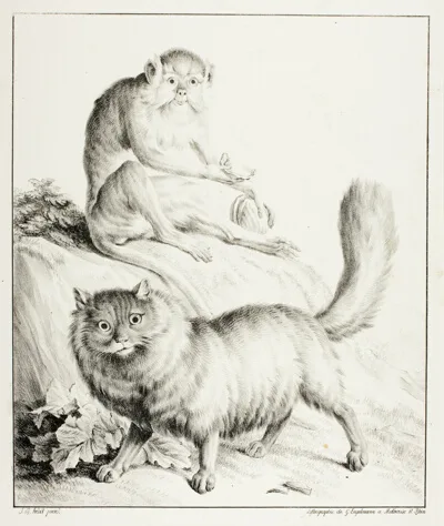 Godefroy Engelmann the Elder, Cat and Monkey