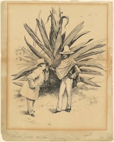 E. W. Kemble, Cactus from Mexico