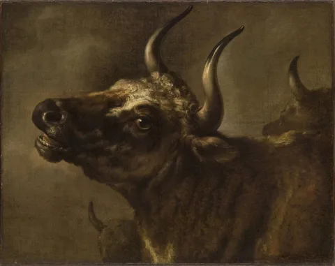 Adriaen Cornelisz Beeldemaker, Bellowing Bull