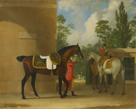 John Doyle, Nonpareil