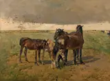 Alfred Verwee, Foals in the Paddock