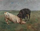 Alfred Verwee, Fight between two young bulls