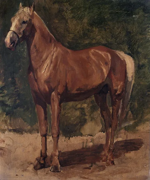 Alfred Verwee, Study of a Horse