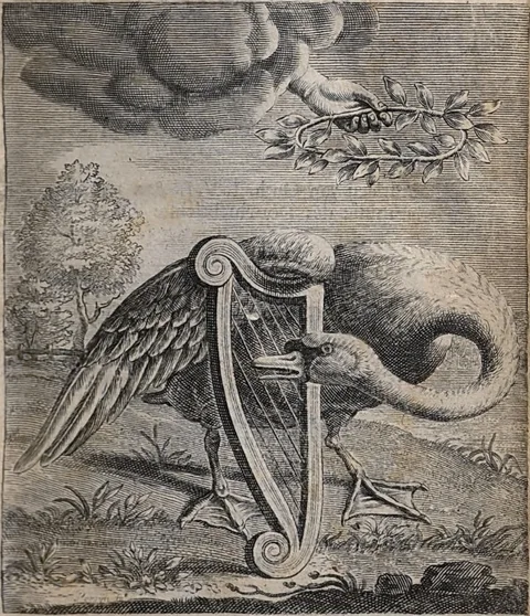 Reinier van Persijn, Illustration from 'Den singende swaen'