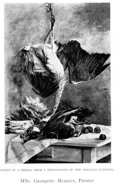 Georgette Meunier, Study of a Heron